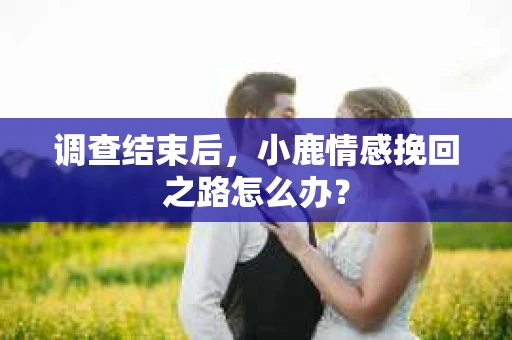 调查结束后，小鹿情感挽回之路怎么办？