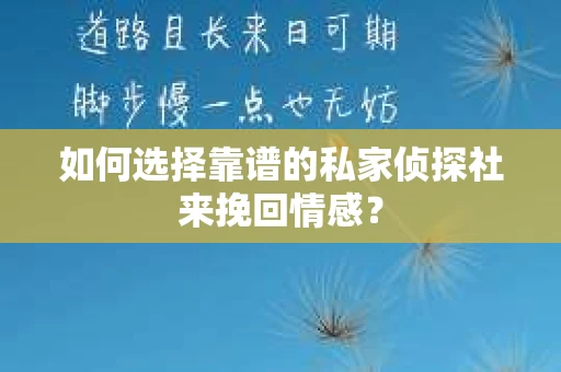 如何选择靠谱的私家侦探社来挽回情感？