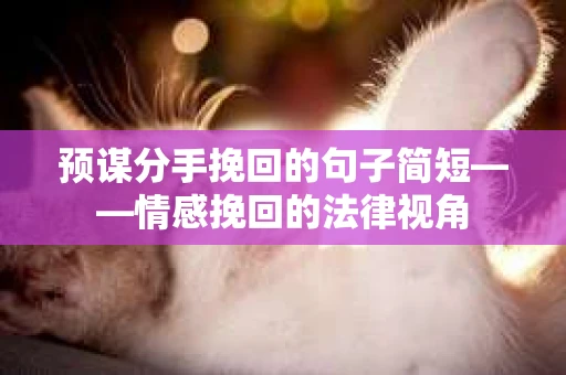 预谋分手挽回的句子简短——情感挽回的法律视角