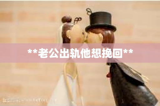 **老公出轨他想挽回**