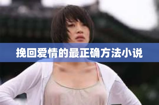 挽回爱情的最正确方法小说
