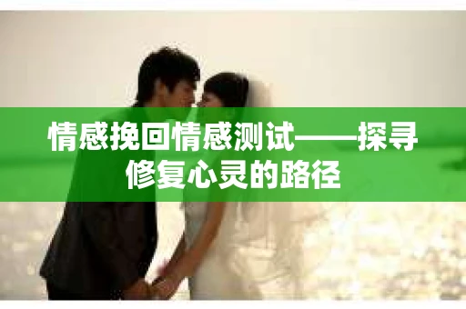 情感挽回情感测试——探寻修复心灵的路径