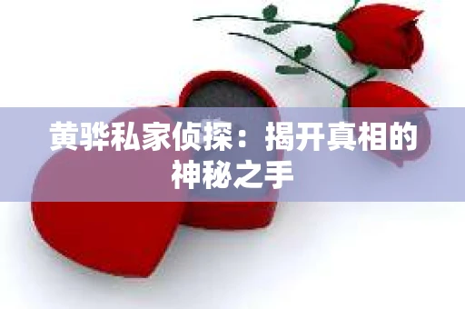 黄骅私家侦探：揭开真相的神秘之手