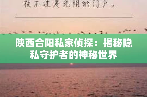 陕西合阳私家侦探：揭秘隐私守护者的神秘世界
