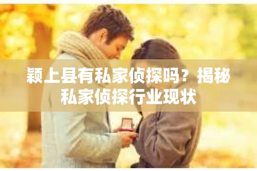颖上县有私家侦探吗？揭秘私家侦探行业现状