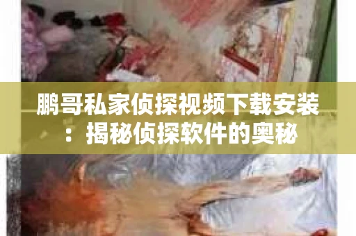 鹏哥私家侦探视频下载安装：揭秘侦探软件的奥秘