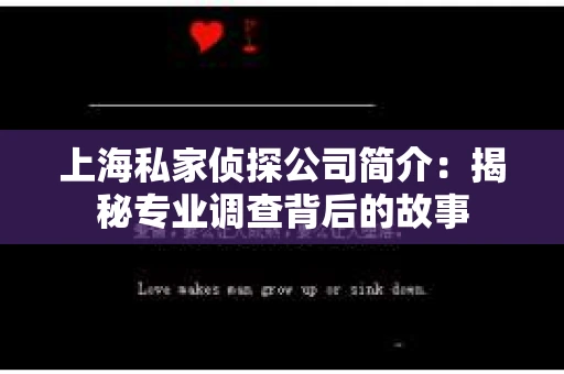 上海私家侦探公司简介：揭秘专业调查背后的故事