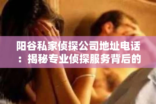 阳谷私家侦探公司地址电话：揭秘专业侦探服务背后的故事