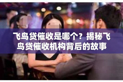 飞鸟贷催收是哪个？揭秘飞鸟贷催收机构背后的故事