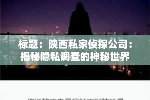 标题：陕西私家侦探公司：揭秘隐私调查的神秘世界