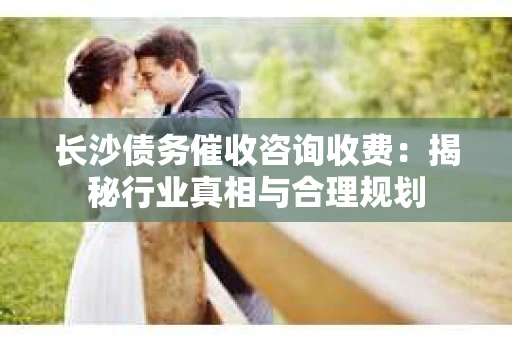 长沙债务催收咨询收费：揭秘行业真相与合理规划
