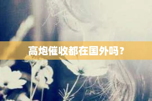 高炮催收都在国外吗？