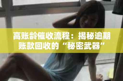 高账龄催收流程：揭秘逾期账款回收的“秘密武器”