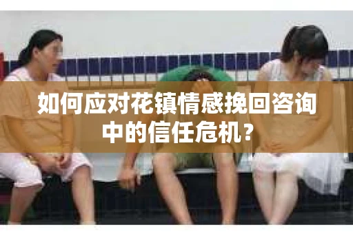 如何应对花镇情感挽回咨询中的信任危机？