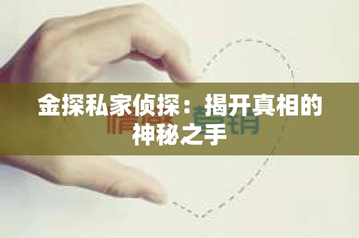 金探私家侦探:揭开真相的神秘之手 金探私家侦探:揭开真相的神秘之手