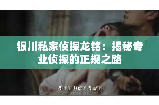 银川私家侦探龙铭：揭秘专业侦探的正规之路