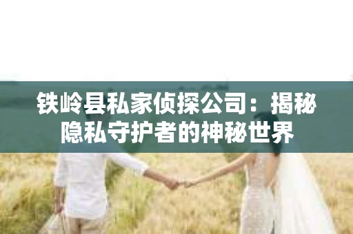 铁岭县私家侦探公司：揭秘隐私守护者的神秘世界