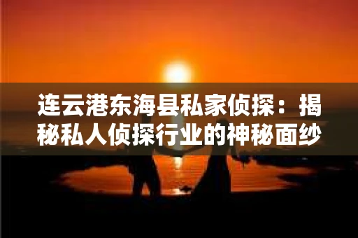 连云港东海县私家侦探：揭秘私人侦探行业的神秘面纱