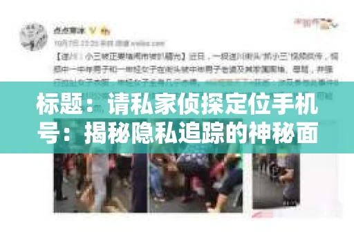 标题：请私家侦探定位手机号：揭秘隐私追踪的神秘面纱