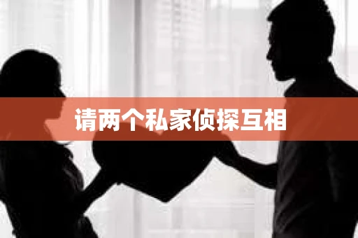 请两个私家侦探互相