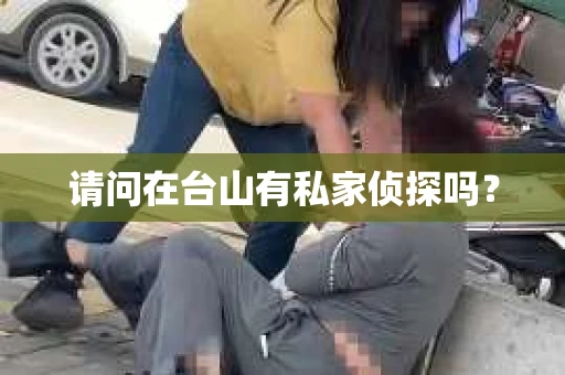 请问在台山有私家侦探吗？
