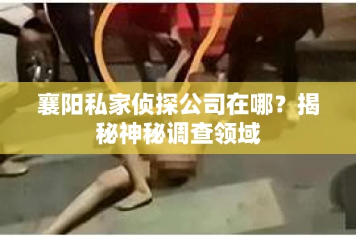 襄阳私家侦探公司在哪？揭秘神秘调查领域
