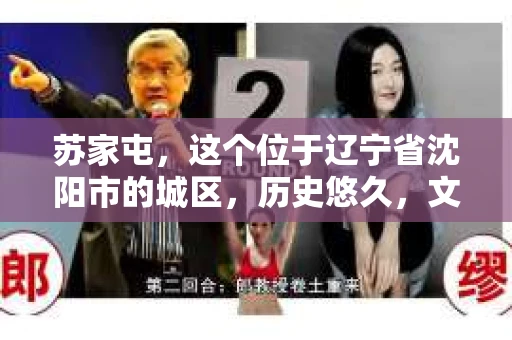 苏家屯，这个位于辽宁省沈阳市的城区，历史悠久，文化底蕴深厚。近年来，随着社会的发展，人们对于私家侦探的需求也逐渐增加。那么，苏家屯有私家侦探吗？今天，我们就来聊聊这个话题。