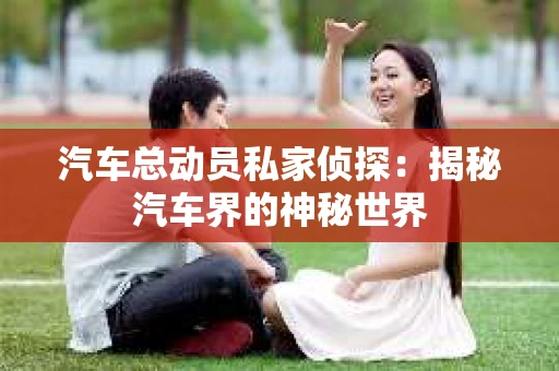 汽车总动员私家侦探：揭秘汽车界的神秘世界