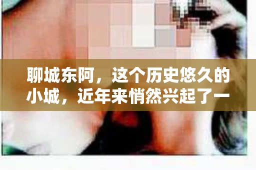 聊城东阿，这个历史悠久的小城，近年来悄然兴起了一股新的服务潮流——私家侦探。今天，我们就来聊聊这个话题，看看在聊城东阿，私家侦探是如何成为人们生活中的一部分的。