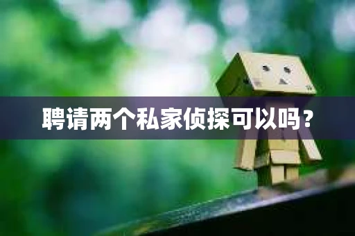 聘请两个私家侦探可以吗? 聘请两个私家侦探可以吗?