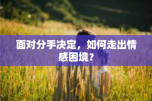 面对分手决定,如何走出情感困境? 面对分手决定,如何走出情感困境?