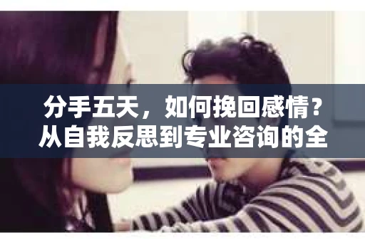 分手五天，如何挽回感情？从自我反思到专业咨询的全面解决方案