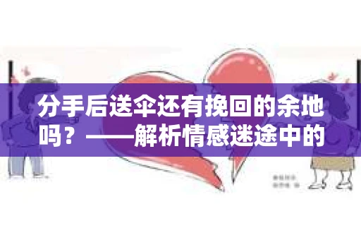 分手后送伞还有挽回的余地吗？——解析情感迷途中的决策
