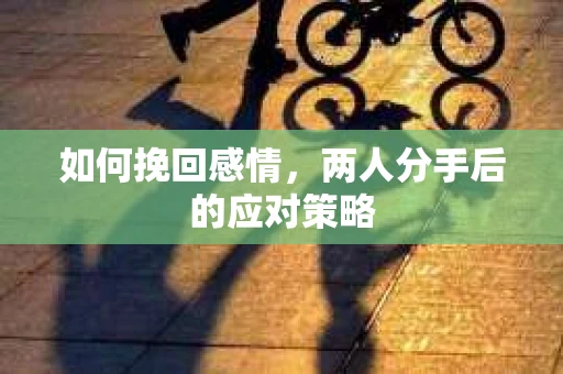 如何挽回感情,两人分手后的应对策略 如何挽回感情,两人分手后的应对策略