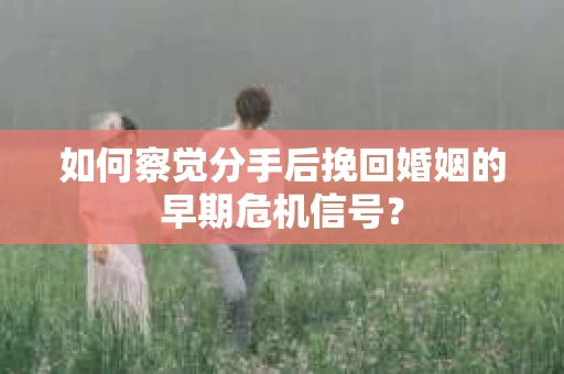 如何察觉分手后挽回婚姻的早期危机信号？
