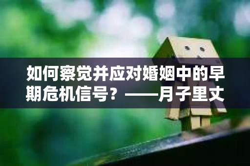 如何察觉并应对婚姻中的早期危机信号？——月子里丈夫出轨后的挽回策略