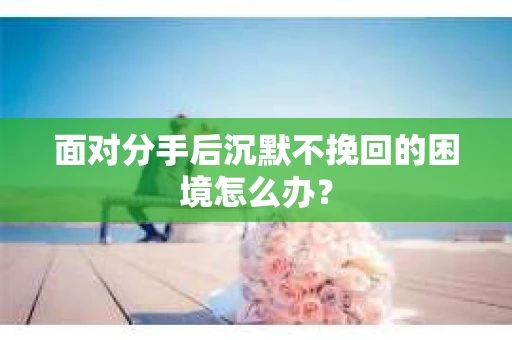 面对分手后沉默不挽回的困境怎么办? 面对分手后沉默不挽回的困境怎么办?