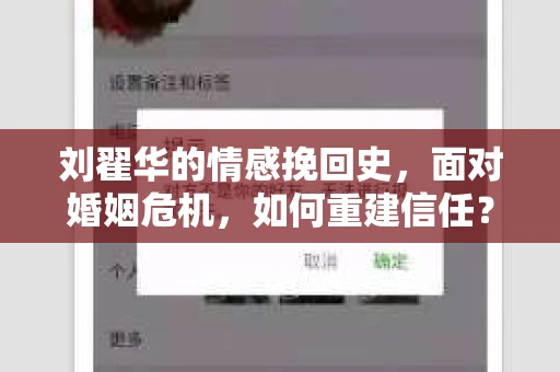 刘翟华的情感挽回史，面对婚姻危机，如何重建信任？